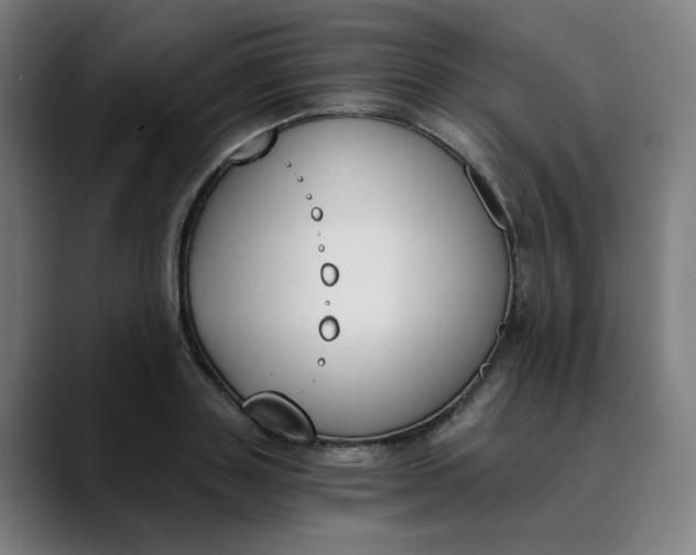 X0000089830843200707121639