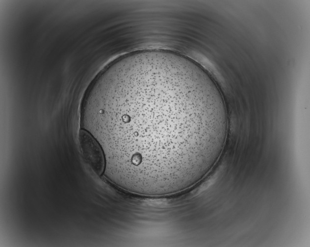 X0000089830844200707121639