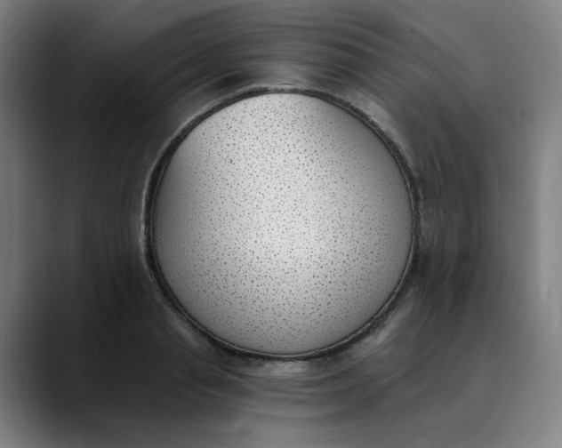 X0000089830845200707121639