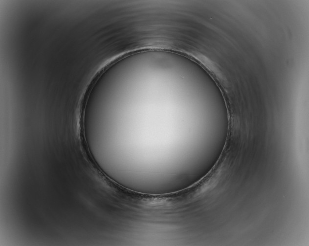 X0000089830846200707121639