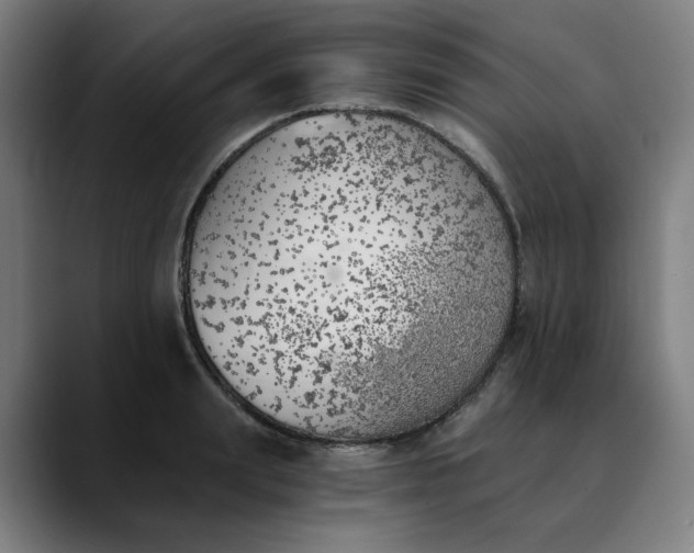 X0000089830847200707121639