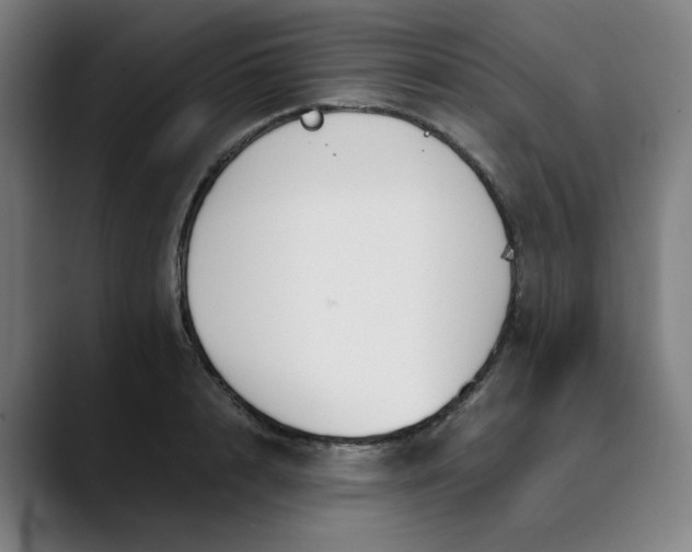 X0000089830848200707121639