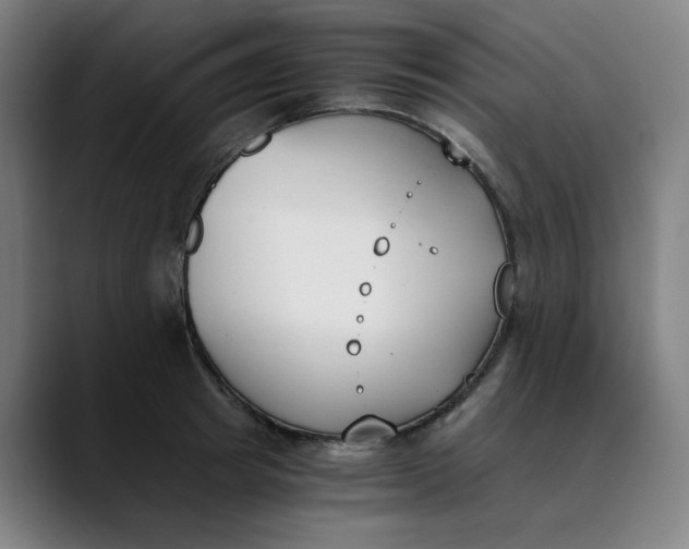 X0000089830849200707121639