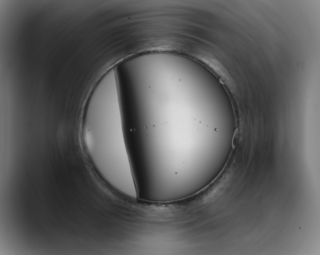 X0000089830850200707121639