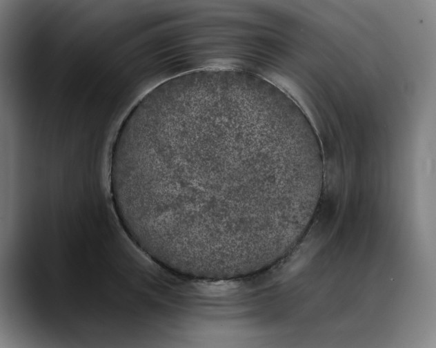 X0000089830851200707121639