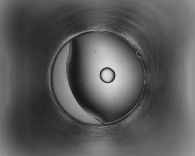 X0000089830854200707121639