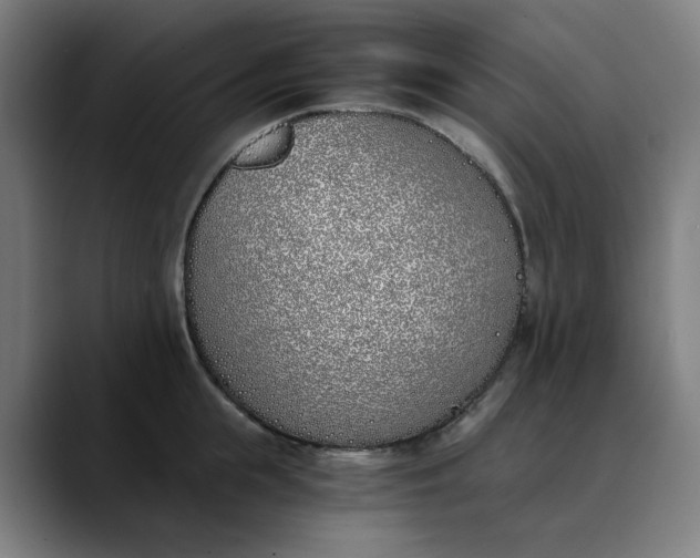 X0000089830855200707121639