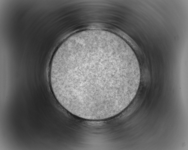 X0000089830856200707121639