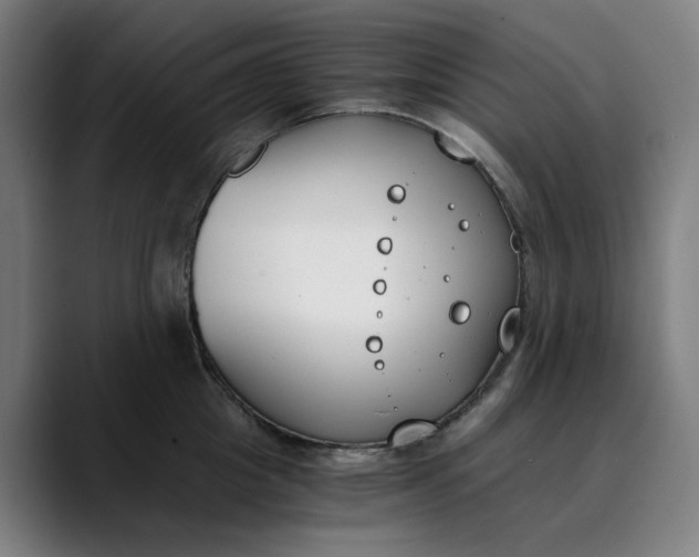 X0000089830857200707121639