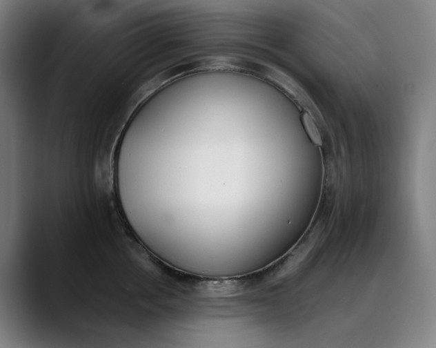 X0000089830858200707121639