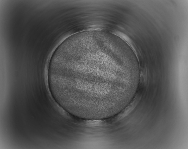 X0000089830859200707121639