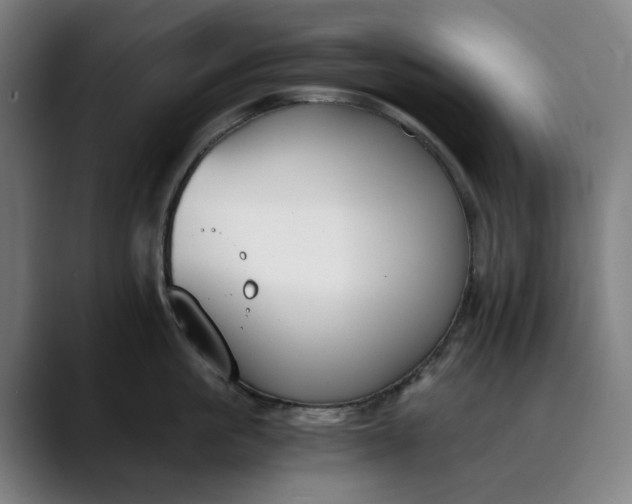 X0000089830861200707121639