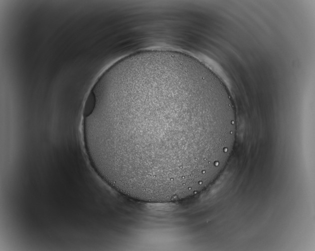 X0000089830863200707121639