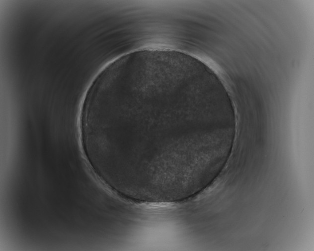 X0000089830864200707121639