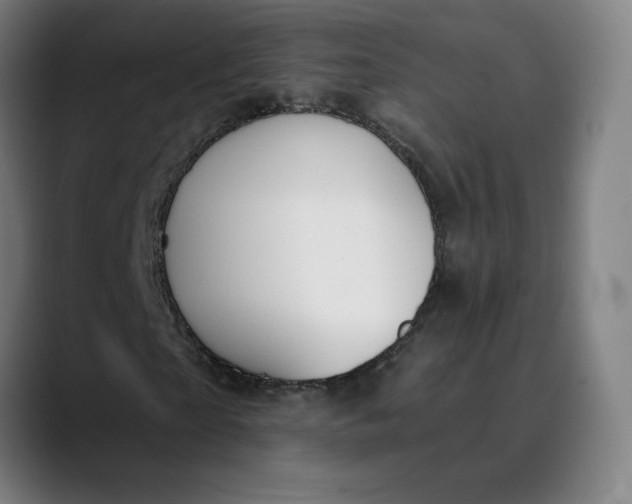 X0000089830865200707121639