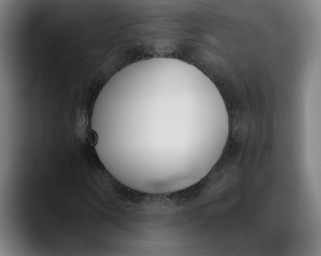 X0000089830866200707121639