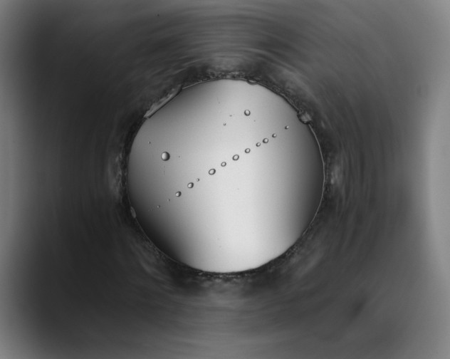 X0000089830868200707121639