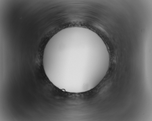 X0000089830869200707121639