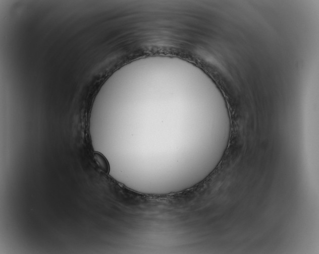 X0000089830870200707121639