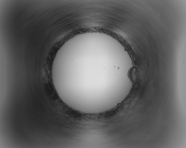 X0000089830871200707121639