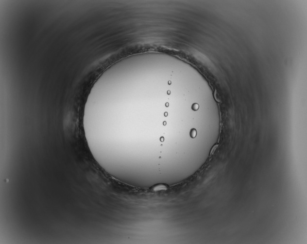 X0000089830872200707121639