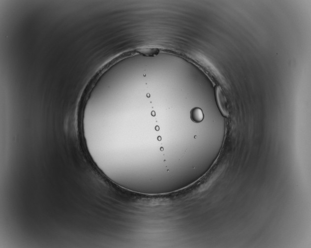 X0000089830884200707121639