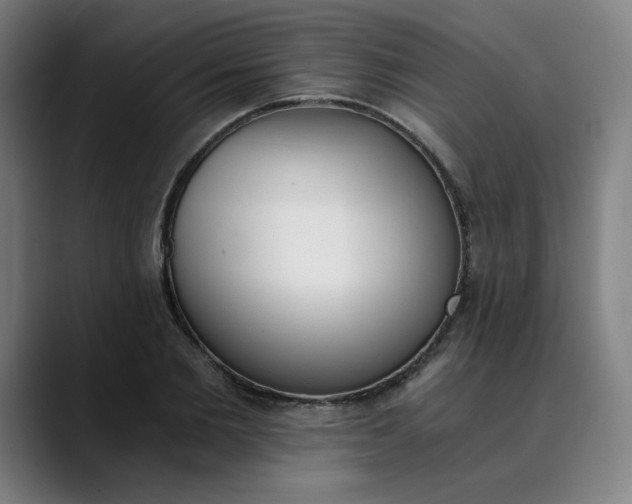 X0000089830885200707121639