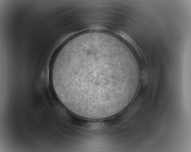 X0000089830886200707121639