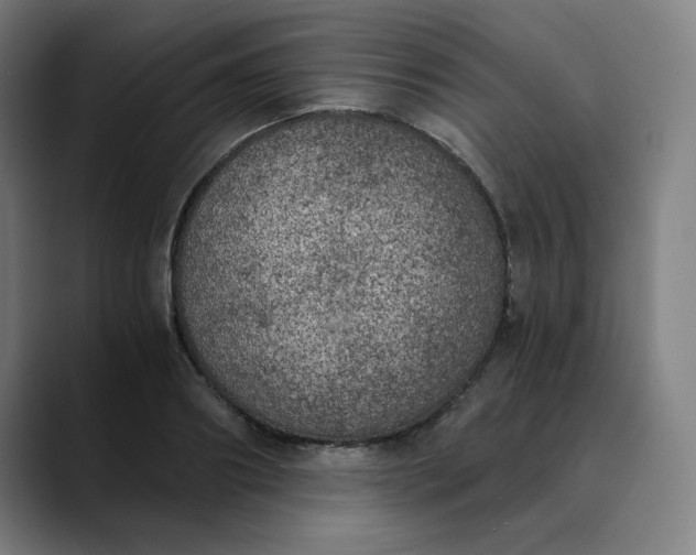 X0000089830890200707121639