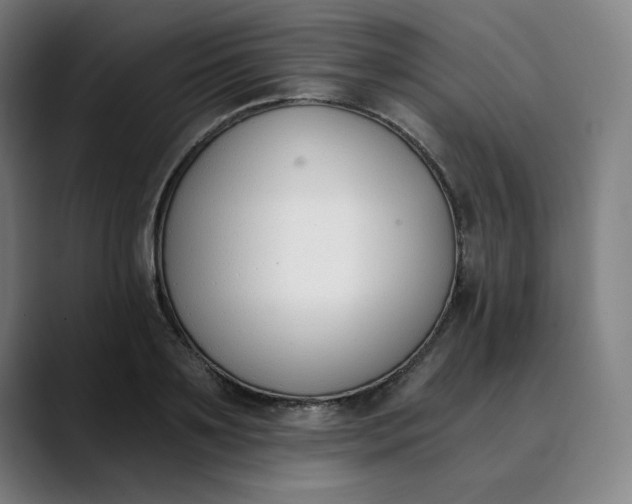 X0000089830891200707121639