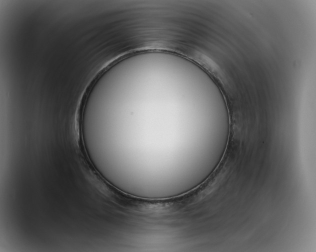 X0000089830892200707121639