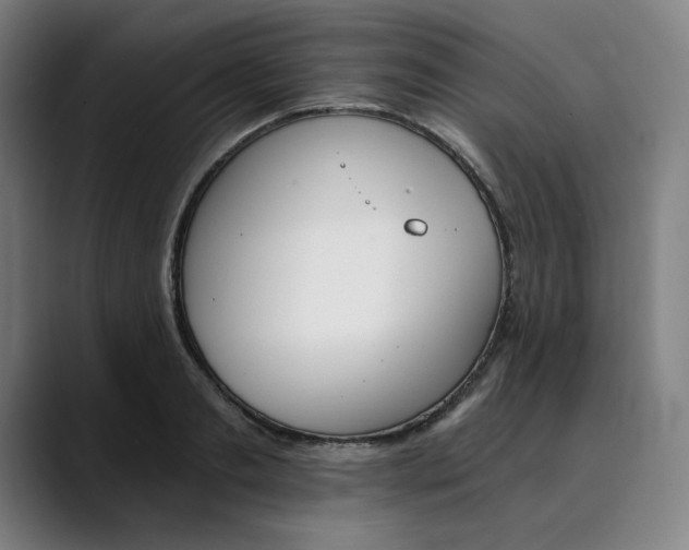 X0000089830893200707121639