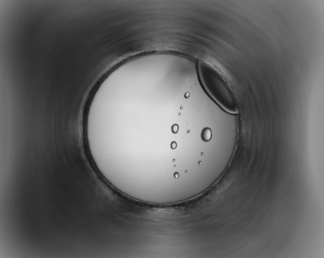 X0000089830894200707121639