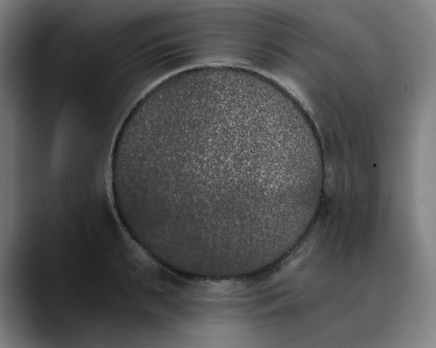 X0000089830895200707121639