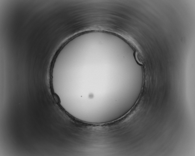 X0000089830896200707121638