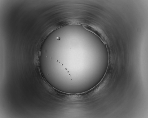 X0000089830897200707121638