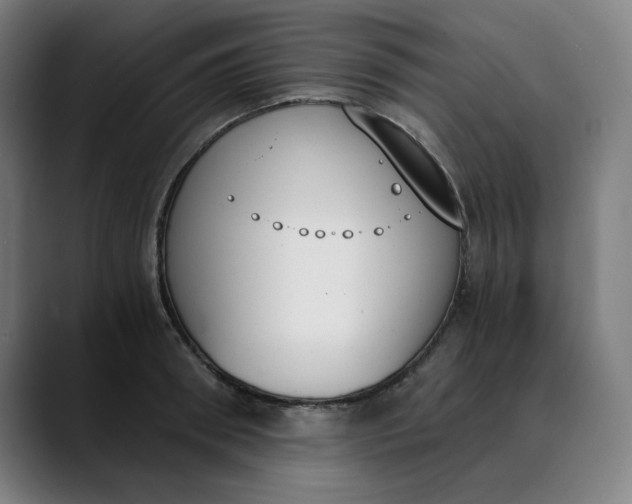 X0000089830898200707121638