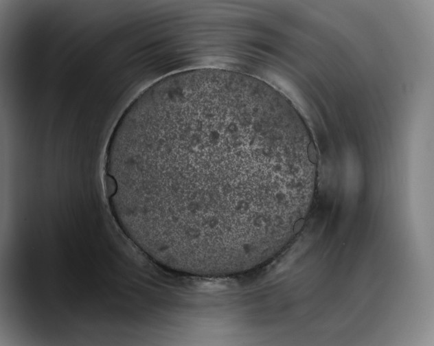 X0000089830899200707121638