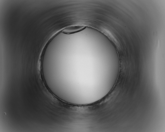 X0000089830900200707121638