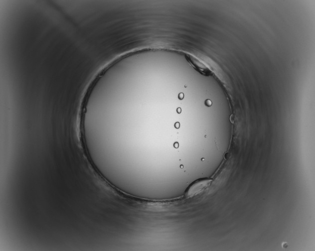 X0000089830904200707121638