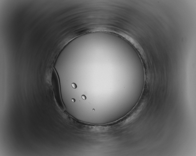 X0000089830905200707121638