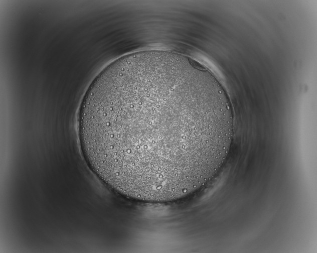 X0000089830907200707121638