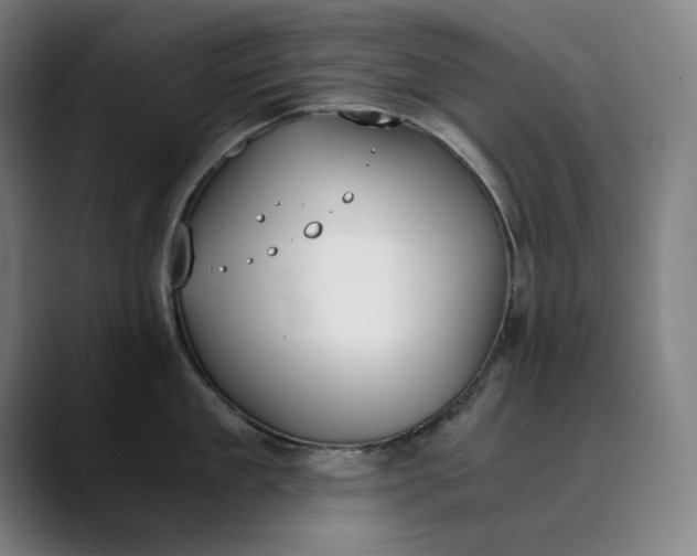 X0000089830909200707121638