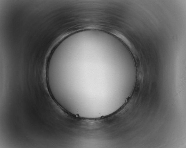 X0000089830910200707121638