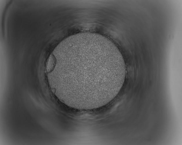 X0000089830913200707121638