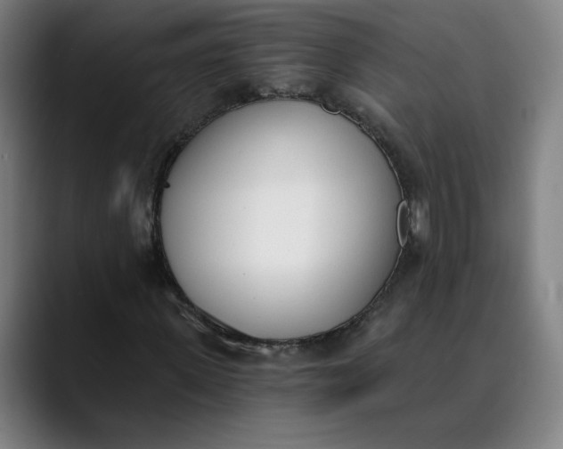 X0000089830915200707121638