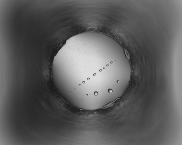 X0000089830916200707121638