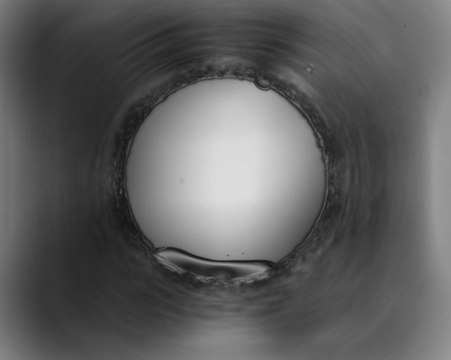 X0000089830919200707121638