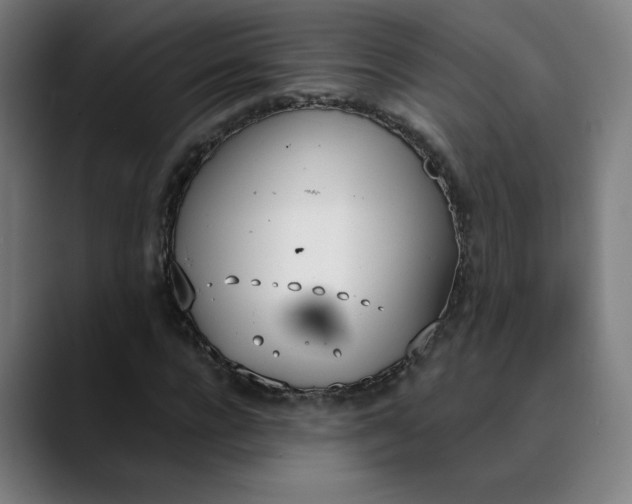 X0000089830920200707121638