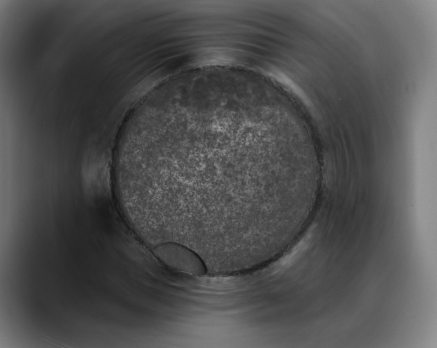 X0000089830921200707121638